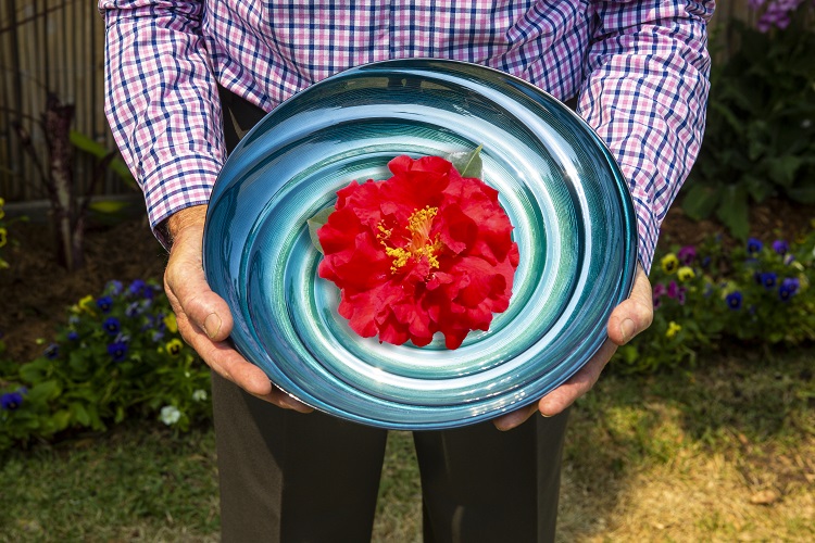 Bowl and camellia